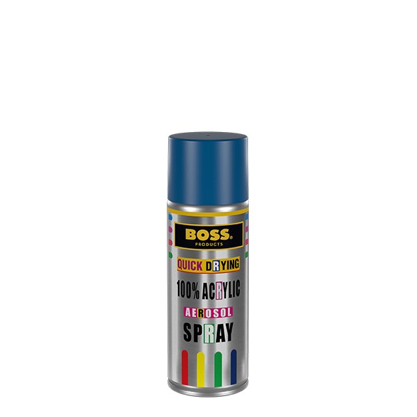 Boss Spray Paint 